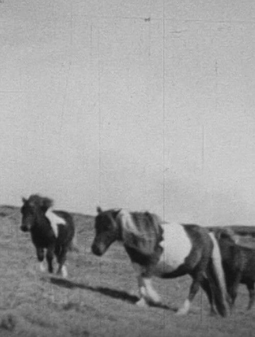 Northern Outpost (1940) poster