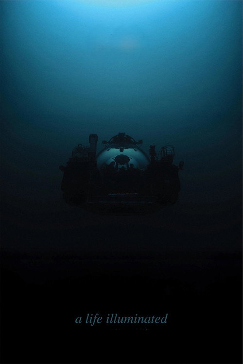 A Life Illuminated (2025) poster