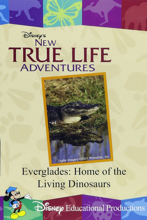Everglades: Home of the Living Dinosaurs (2000) poster