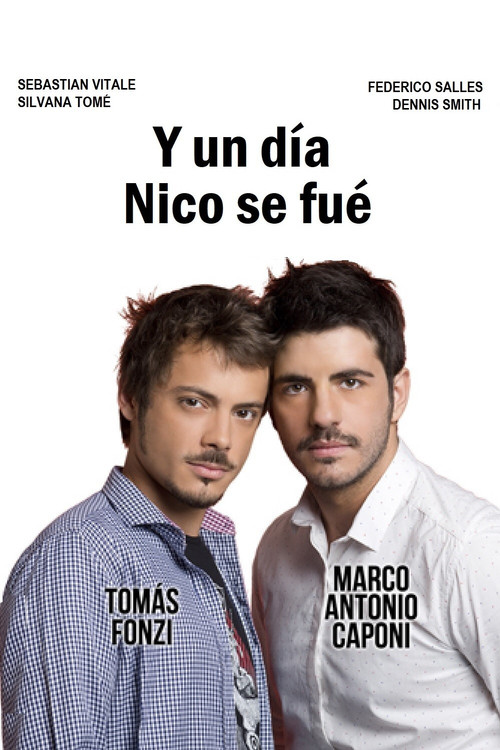 Y un día Nico se fue (2013) poster
