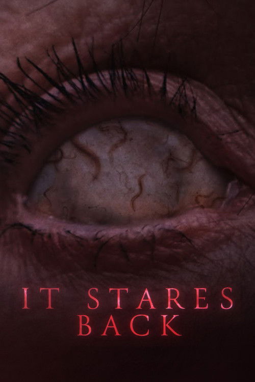 It Stares Back (2023) poster
