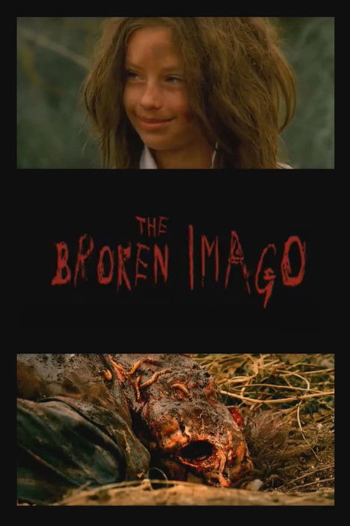 The Broken Imago (2008) poster