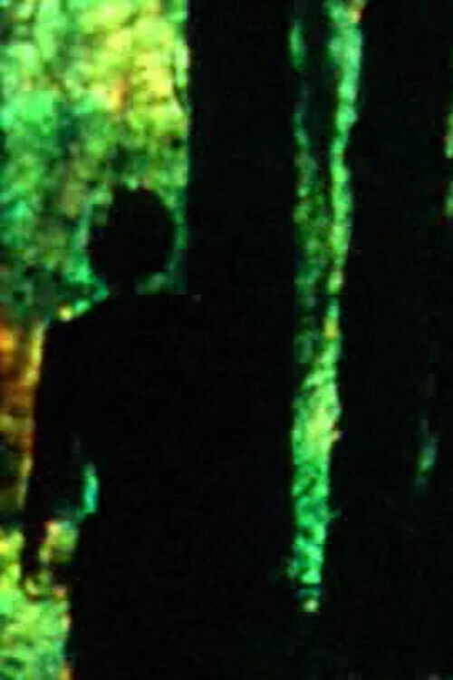 Meandering (2015) poster