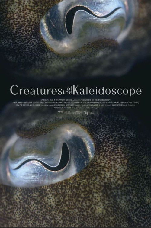 Creatures of the Kaleidoscope (2023) poster