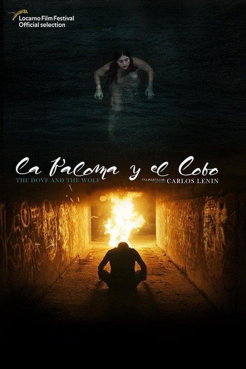 The Dove and the Wolf (2019) poster