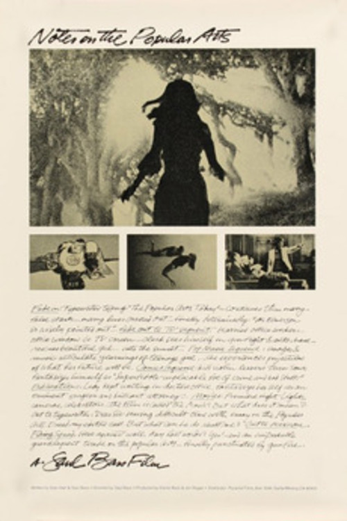 Notes on the Popular Arts (1978) poster