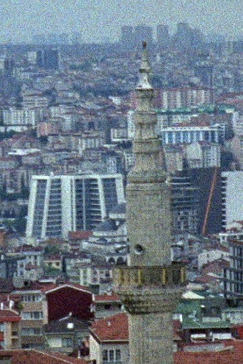 Belgrade Forest Incident …and What Happened to Mr. K? (2021) poster