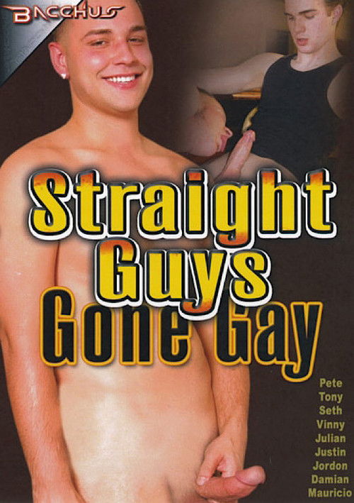 Straight Guys Gone Gay (2013) poster