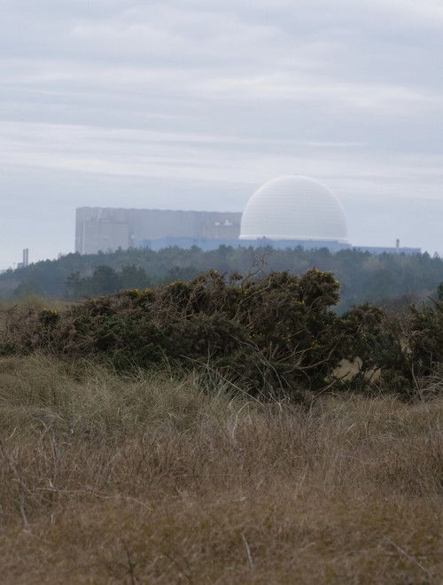 Immaterial Terrain (2023) poster