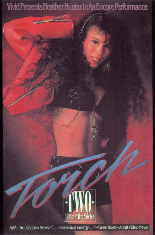 Torch 2 (1991) poster