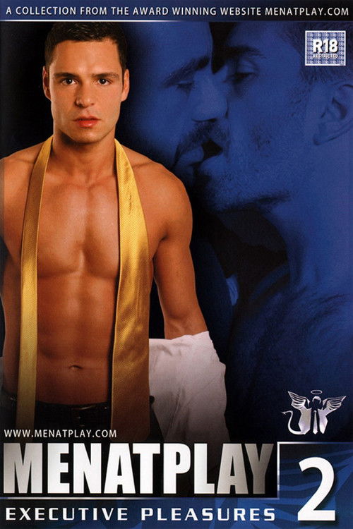 Executive Pleasures 2 (2006) poster