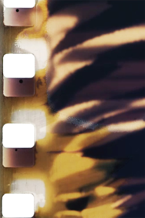 Filmabuse (Original) (1975) poster