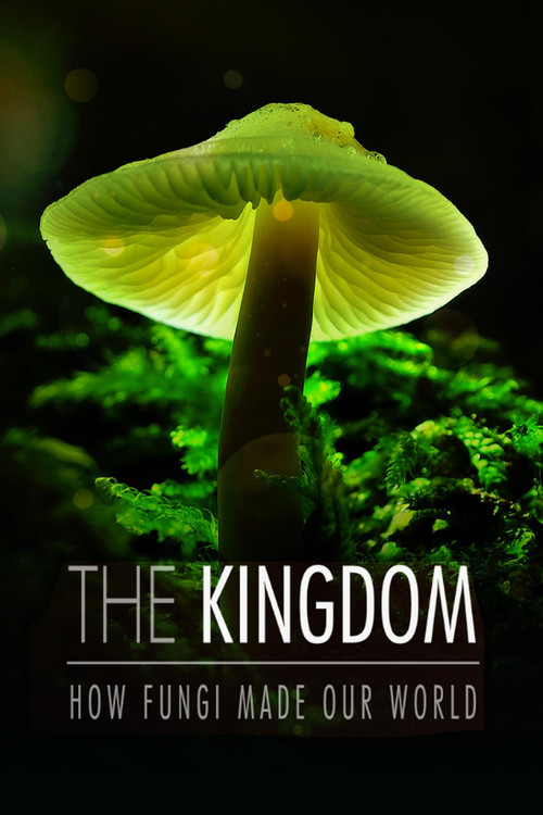 The Kingdom: How Fungi Made Our World (2018) poster