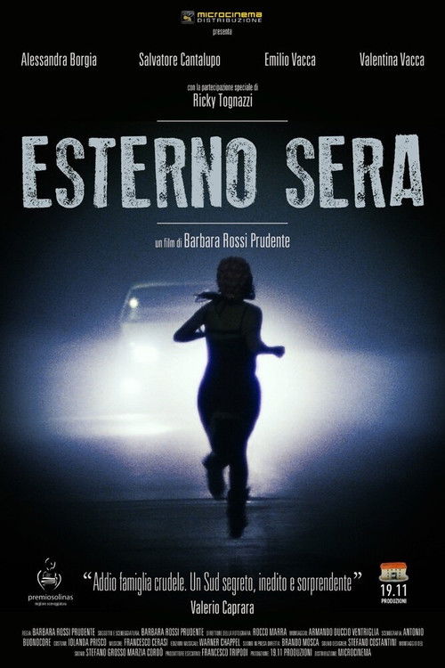 Esterno sera (2013) poster