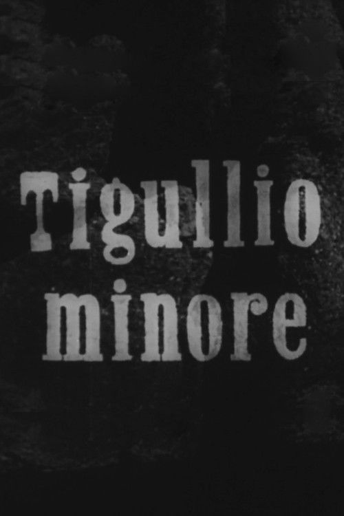 Tigullio minore (1947) poster