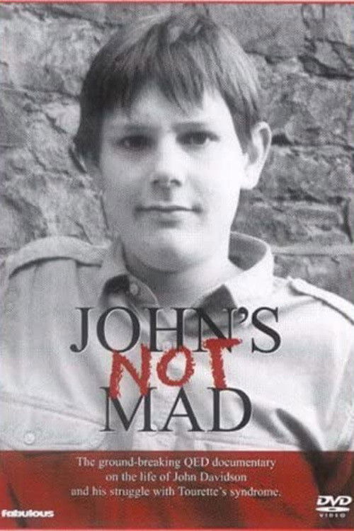 John's Not Mad (1989) poster