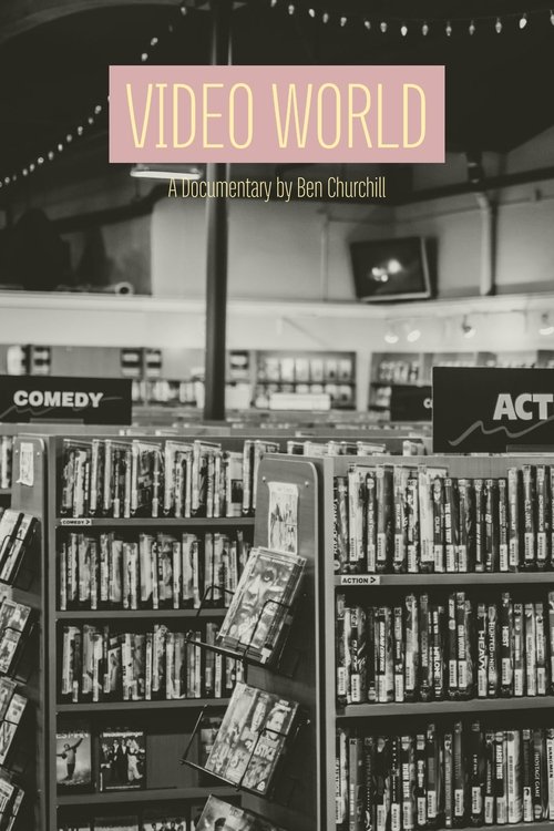 Video World (2013) poster