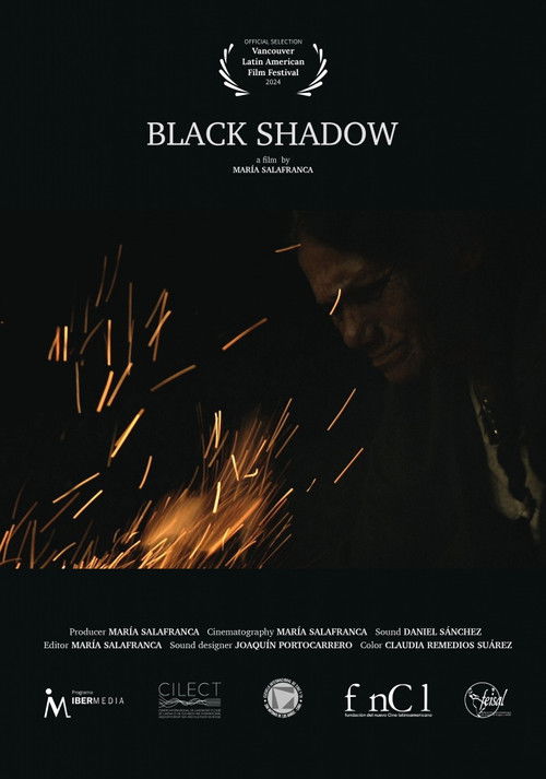Black Shadow (2024) poster