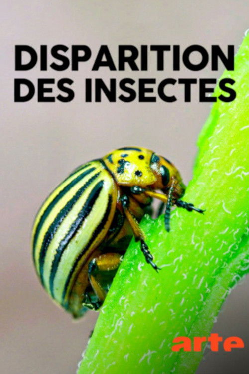 Das große Insektensterben (2018) poster