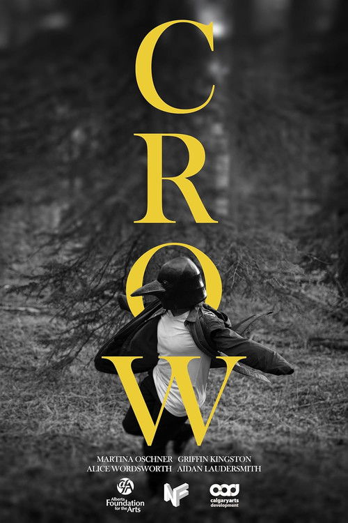 Crow (2024) poster
