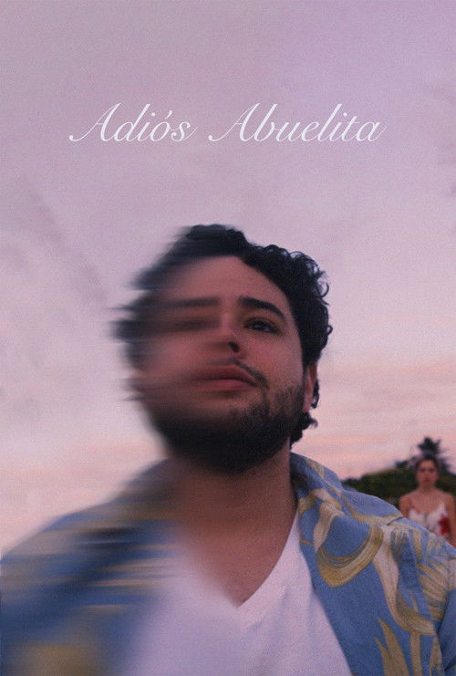 Adiós Abuelita (2024) poster