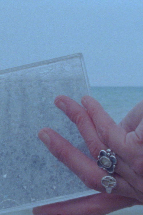 Desire Path (2024) poster