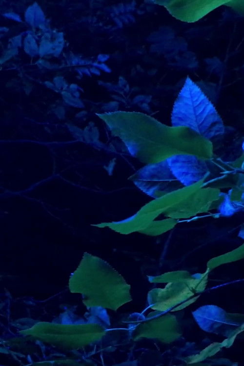 A Hand In Two Ways (Fisted) (2017) poster