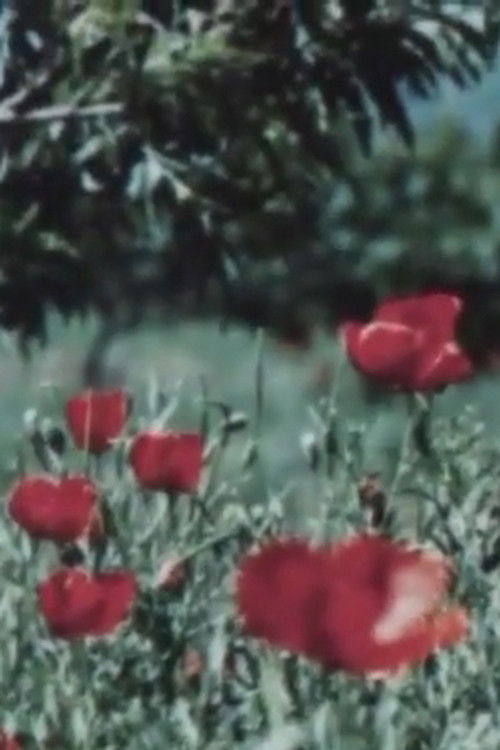 The Art of Tajikistan (1970) poster