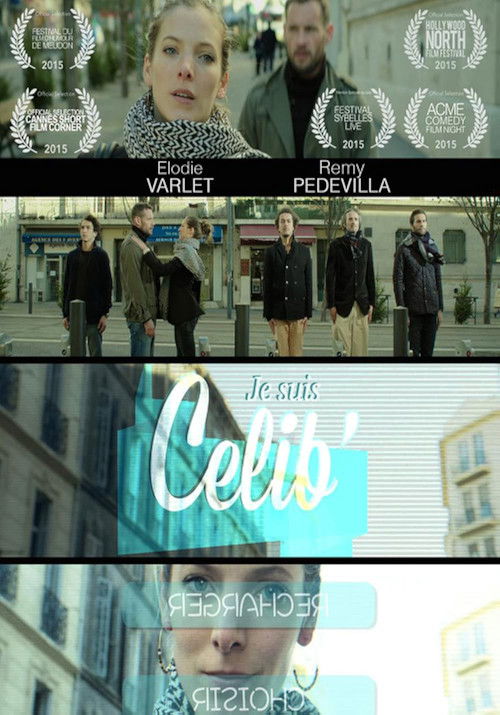 Je suis célib (2015) poster