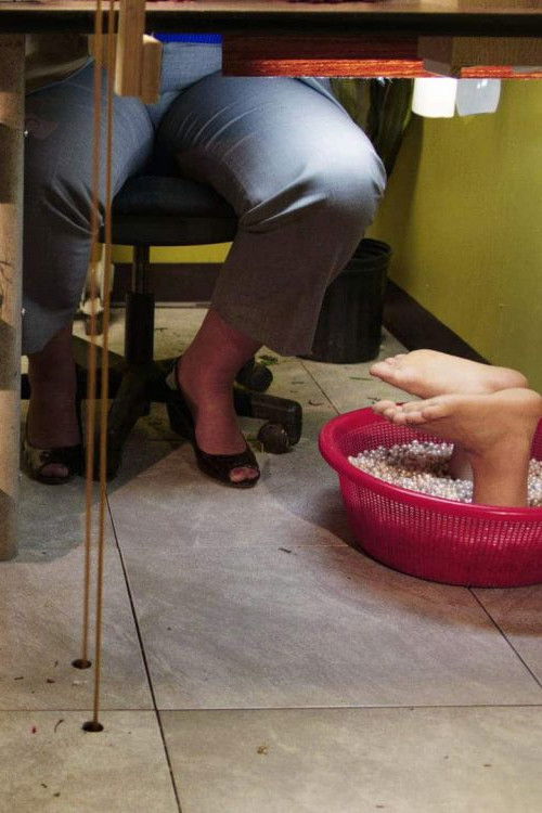 NoNoseKnows (2015) poster