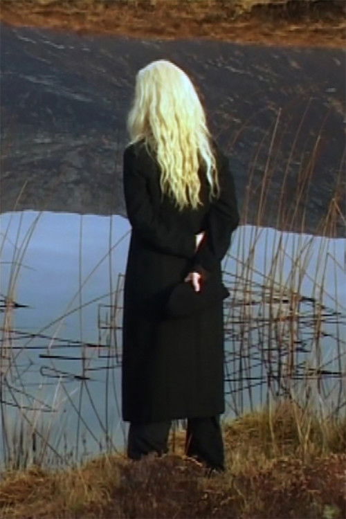 The Irreducible Difference of the Other (2013) poster