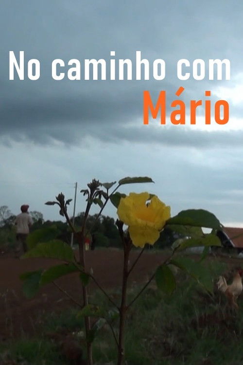 No Caminho com Mário (2014) poster