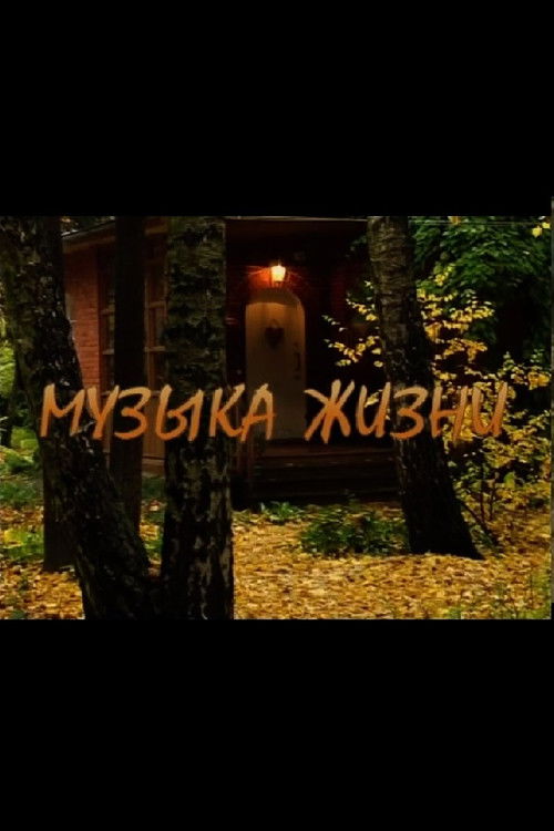 Музыка жизни (2009) poster
