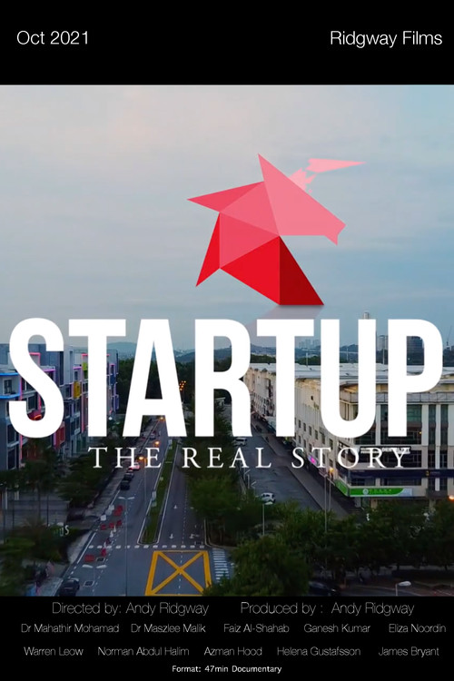 Startup: The Real Story (2021) poster