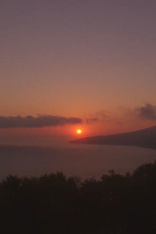 Affirmation (2020) poster