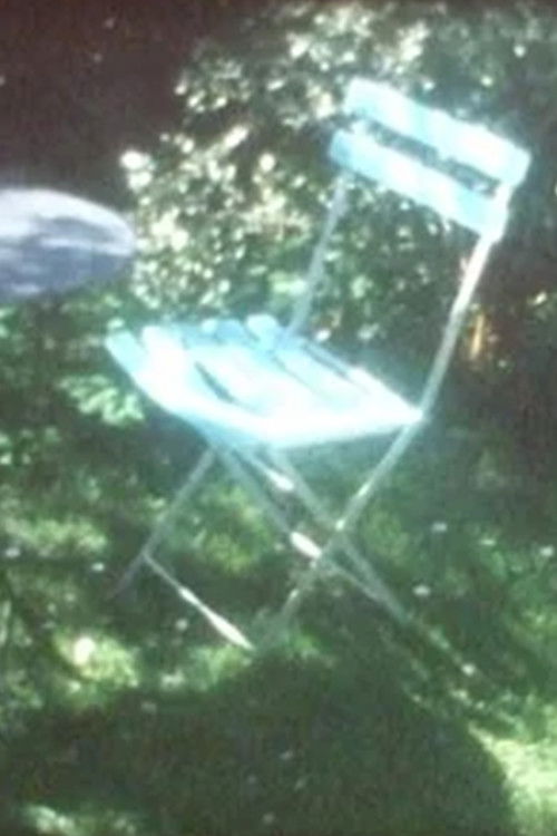 We Saw (2009) poster