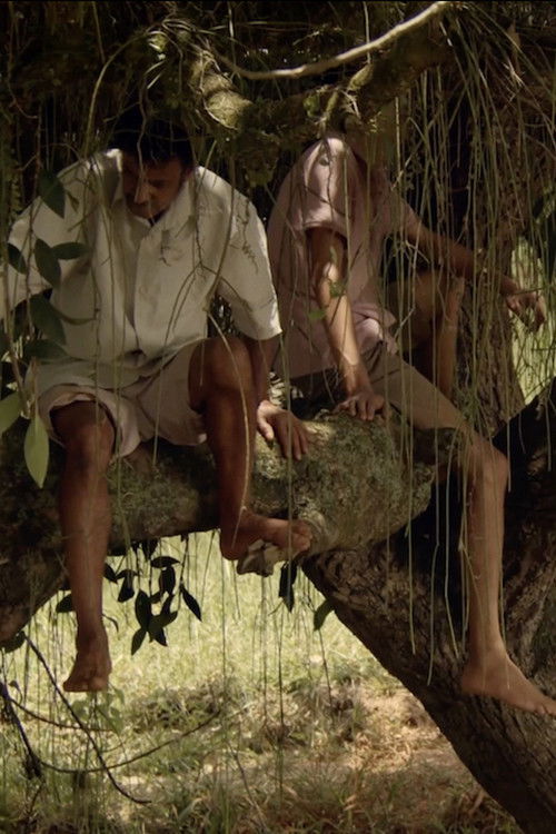 O Som do Trovão no Deserto (2025) poster