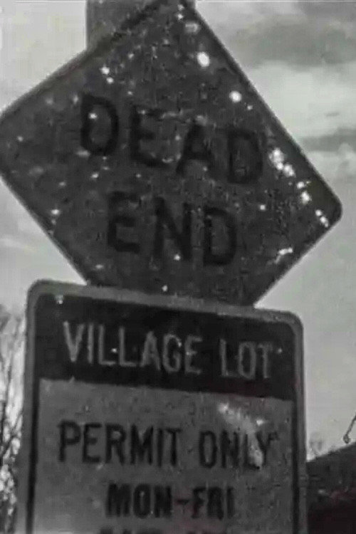 Missing Fragments of a Murder (2013) poster