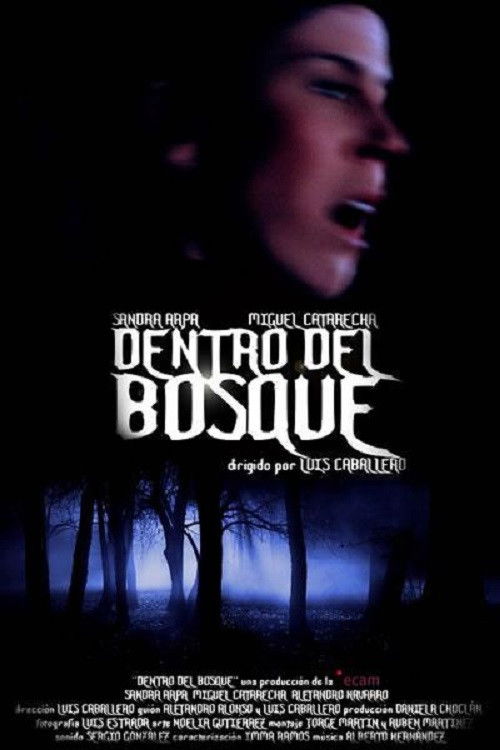 Dentro del bosque (2010) poster