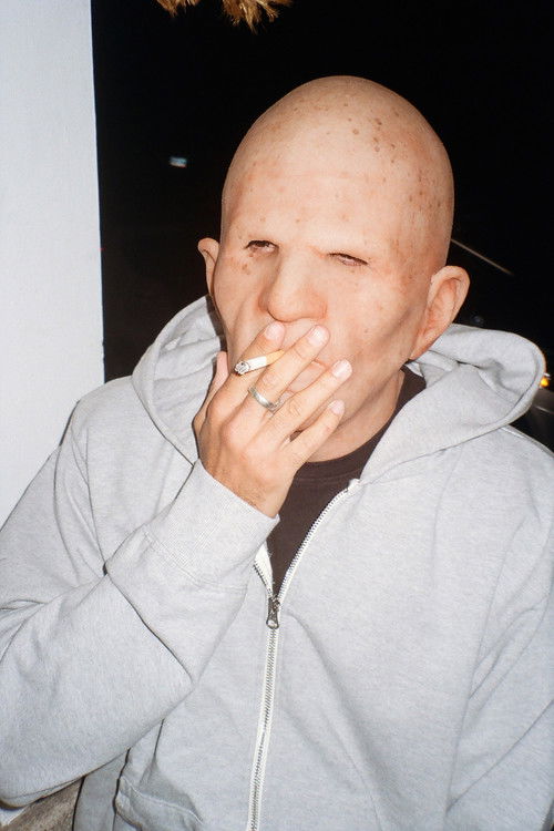 Files of Lars (2025) poster