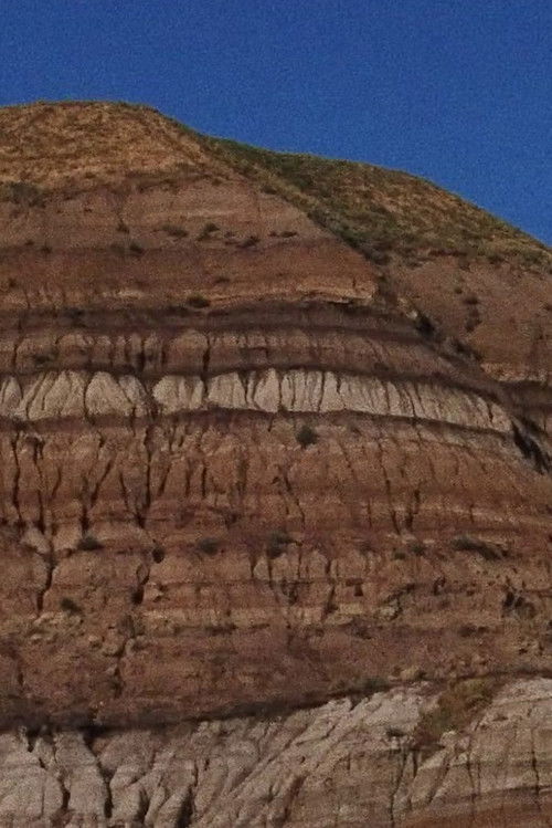 Continental Drift (2021) poster