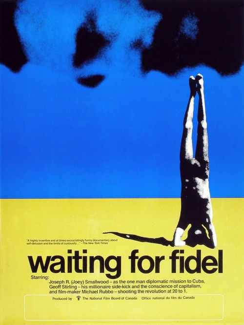 Waiting for Fidel (1975) poster