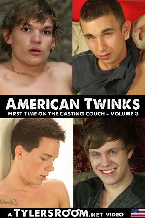 American Twinks 3 (2013) poster