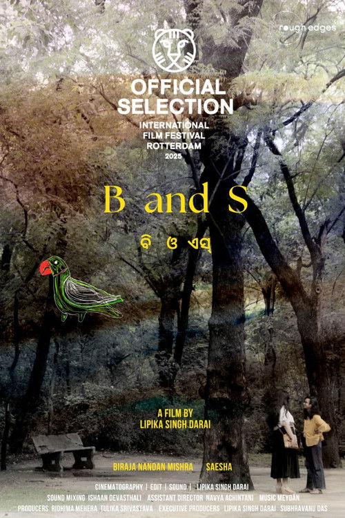 B and S (2025) poster