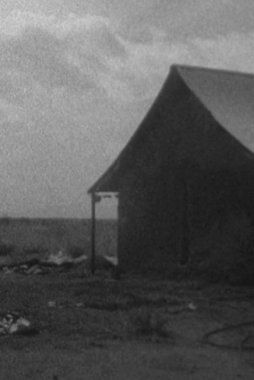 Land Rebel (2018) poster