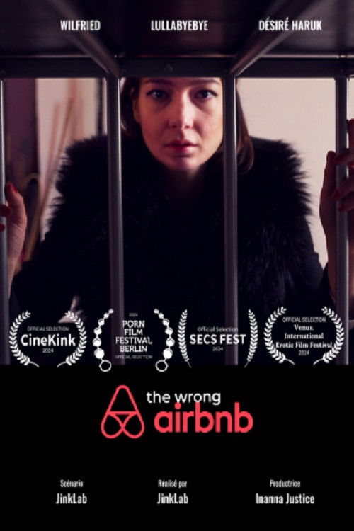 The Wrong Airbnb (2024) poster