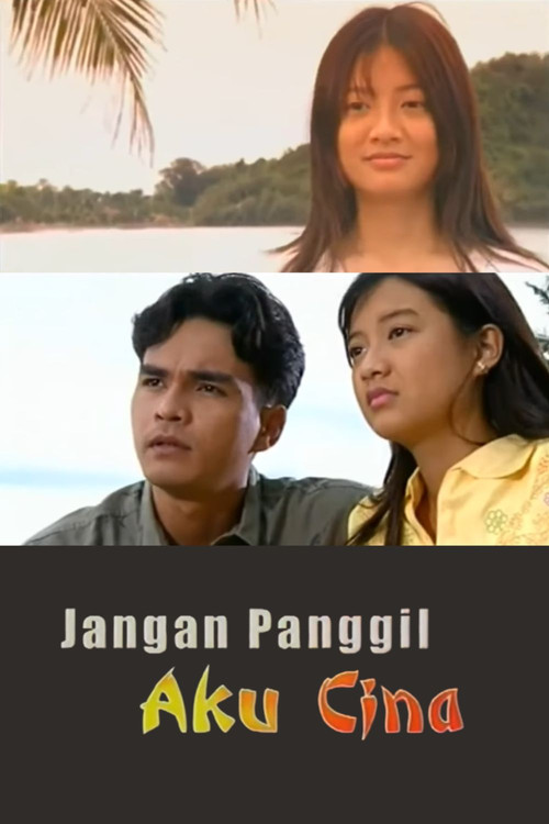 Jangan Panggil Aku Cina (2002) poster