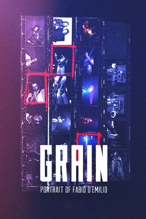 Grain - Portrait of Fabio D'Emilio (2025) poster