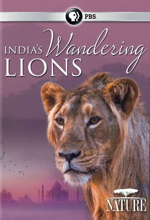 India's Wandering Lions (2016) poster