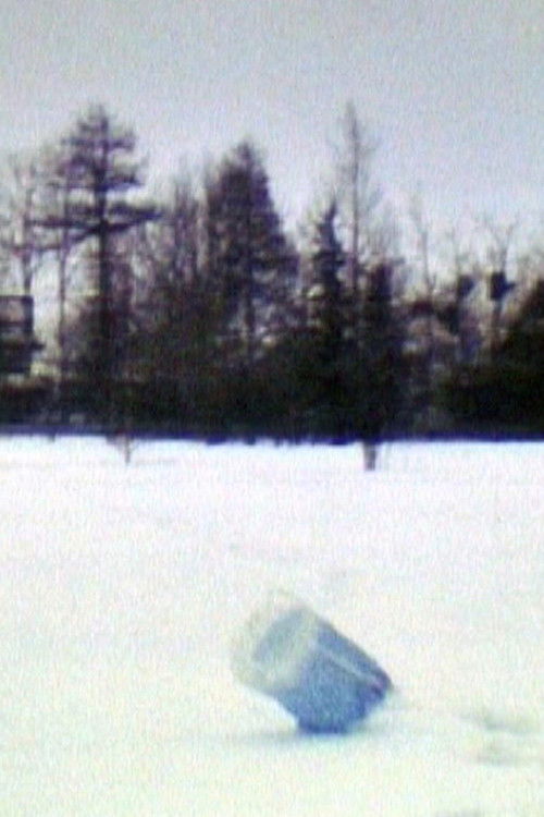 Air Sleeve (1980) poster